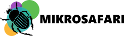 MikroSafari - Logo